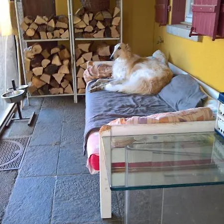 Bed & Breakfast Swiss Borzoi House Vully-les-Lacs