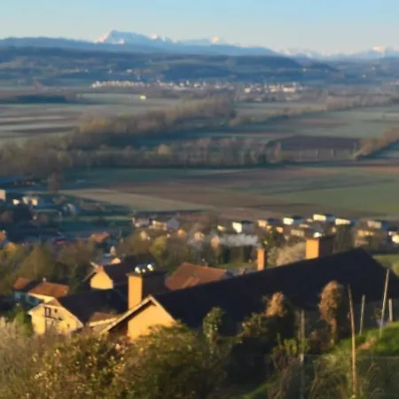 Bed and breakfast Swiss Borzoi House