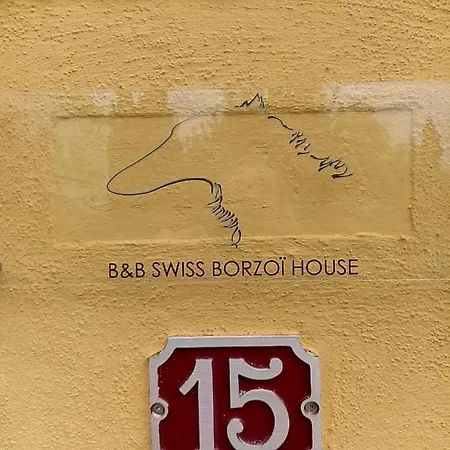 Swiss Borzoi House Bed & Breakfast Vully-les-Lacs