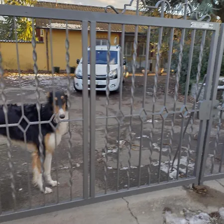Swiss Borzoi House