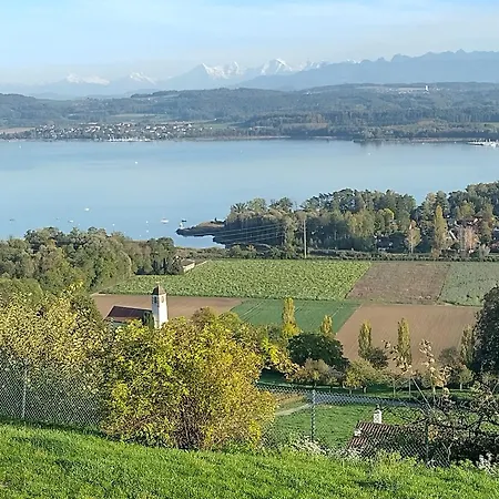 Swiss Borzoi House Vully-les-Lacs