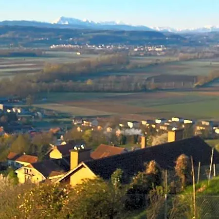 Swiss Borzoi House Vully-les-Lacs