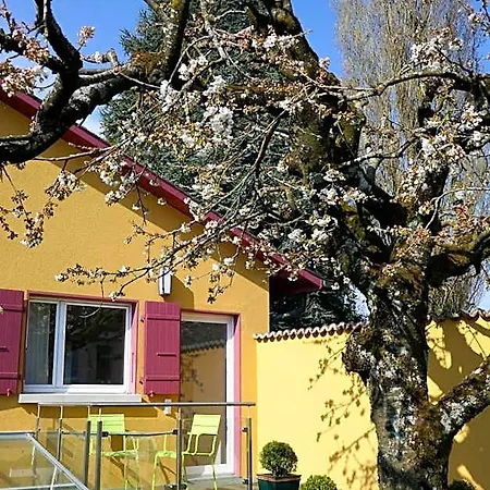 Swiss Borzoi House 4* Vully-les-Lacs