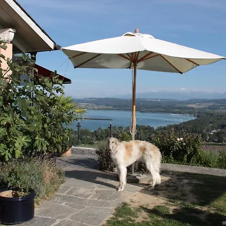 Bed & Breakfast Swiss Borzoi House