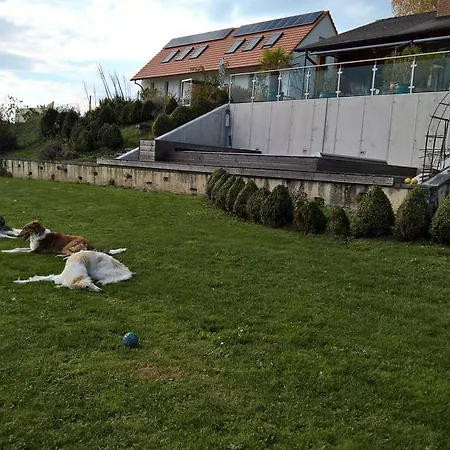 Bed & Breakfast Swiss Borzoi House *