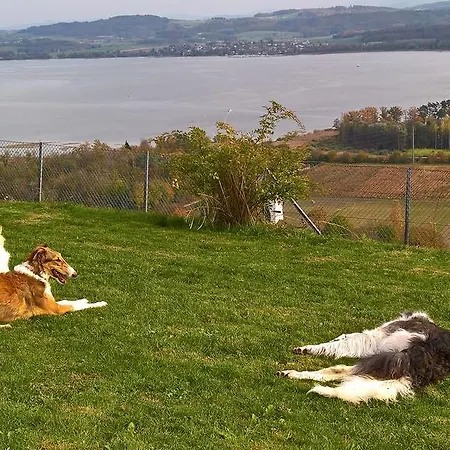 Bed and breakfast Swiss Borzoi House