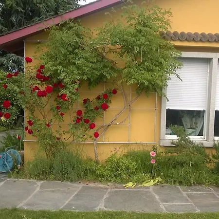 Swiss Borzoi House *