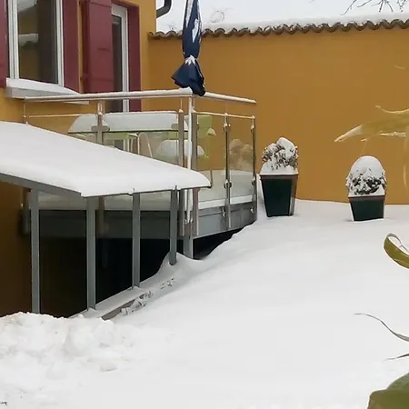 Swiss Borzoi House 4*