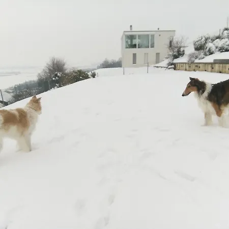 Bed & Breakfast Swiss Borzoi House