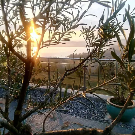 Swiss Borzoi House Bed and breakfast