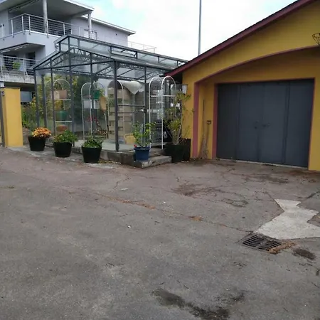 Swiss Borzoi House 4* Vully-les-Lacs