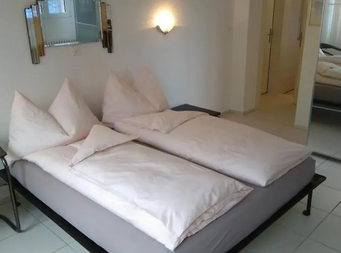 Swiss Borzoi House 4* Vully-les-Lacs