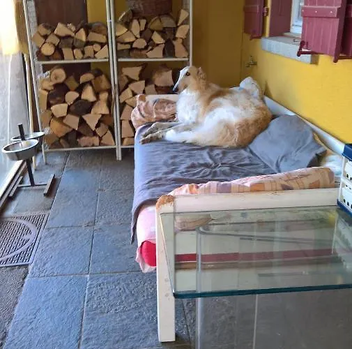 Bed & Breakfast Swiss Borzoi House Vully-les-Lacs