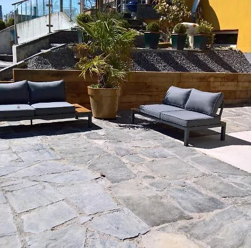 Bed & Breakfast Swiss Borzoi House