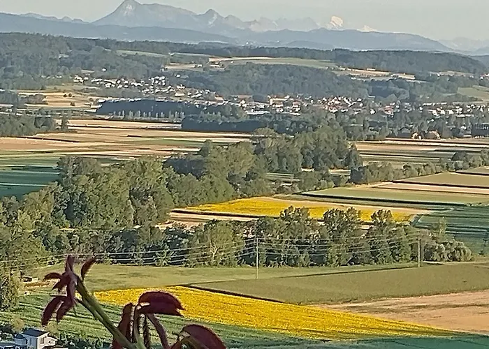 Swiss Borzoi House 4*