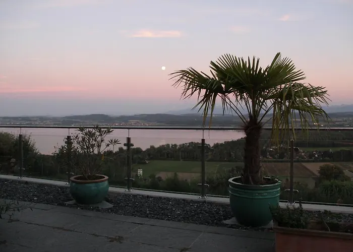 Swiss Borzoi House 4* Vully-les-Lacs