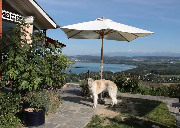 Bed & Breakfast Swiss Borzoi House