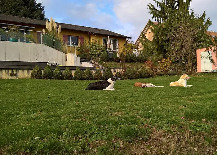 Swiss Borzoi House