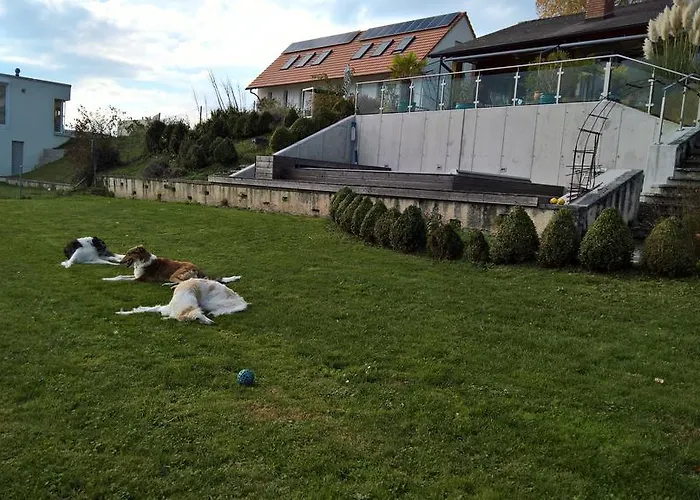 לינה וארוחת בוקר Swiss Borzoi House 4*