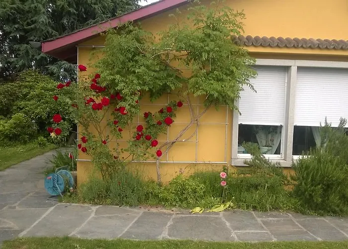 Swiss Borzoi House 4*