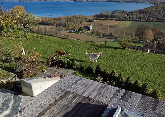 לינה וארוחת בוקר Swiss Borzoi House 4*