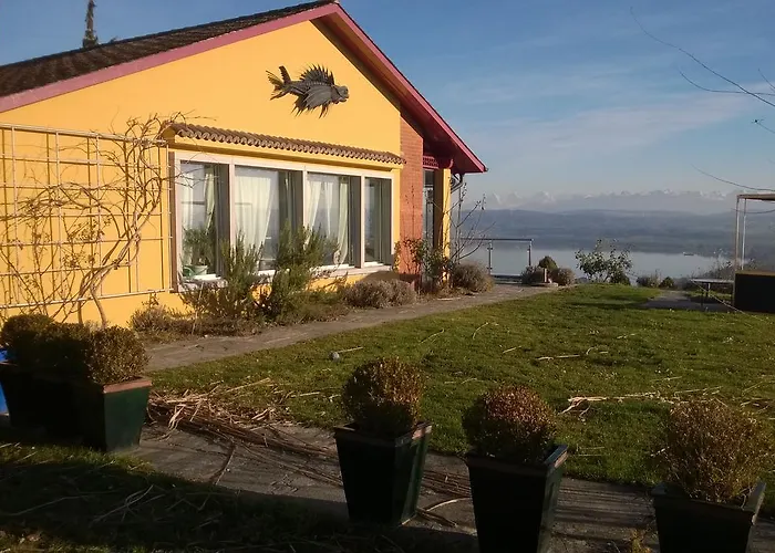 לינה וארוחת בוקר Swiss Borzoi House Vully-les-Lacs