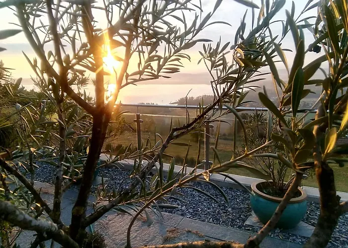 Swiss Borzoi House Bed & Breakfast