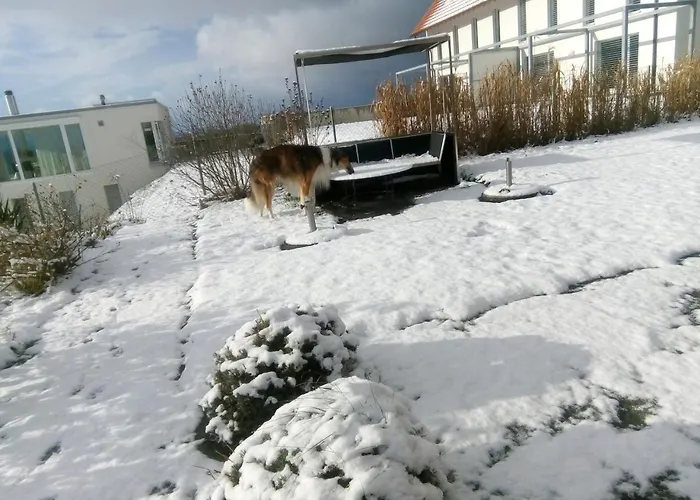 Bed & Breakfast Swiss Borzoi House