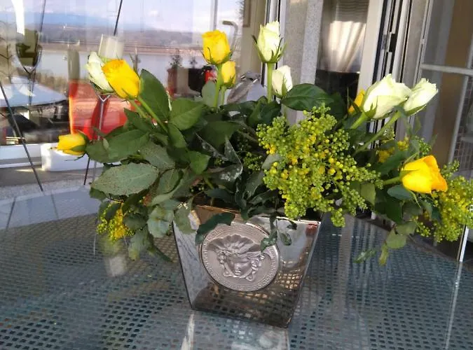 Swiss Borzoi House Alojamento de Acomodação e Pequeno-almoço 4*