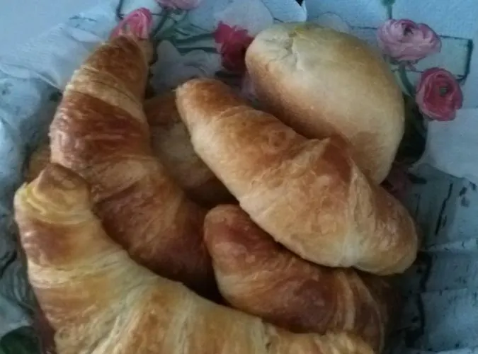 Swiss Borzoi House 4* Vully-les-Lacs