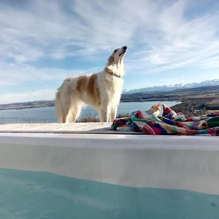 Swiss Borzoi House Отель типа 