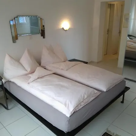 Swiss Borzoi House 4* Vully-les-Lacs