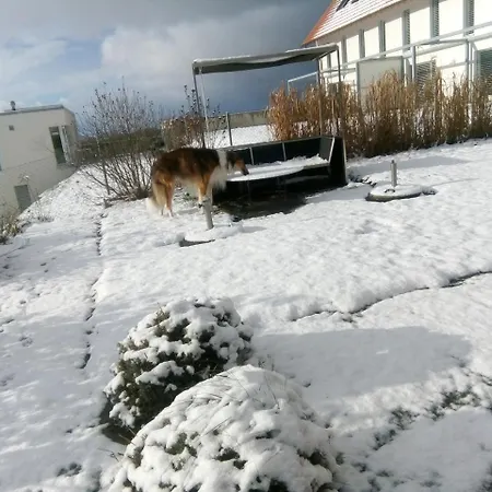فندق مبيت وإفطار Swiss Borzoi House