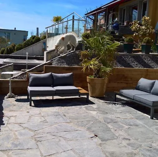 Swiss Borzoi House Vully-les-Lacs