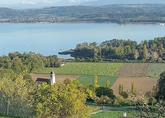 Swiss Borzoi House Vully-les-Lacs