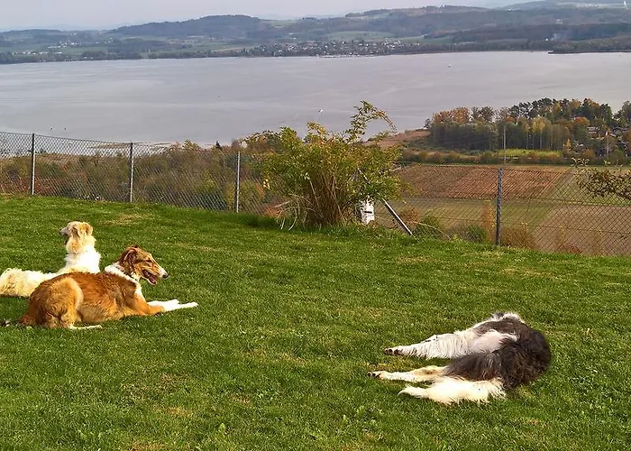 Frühstückspension Swiss Borzoi House
