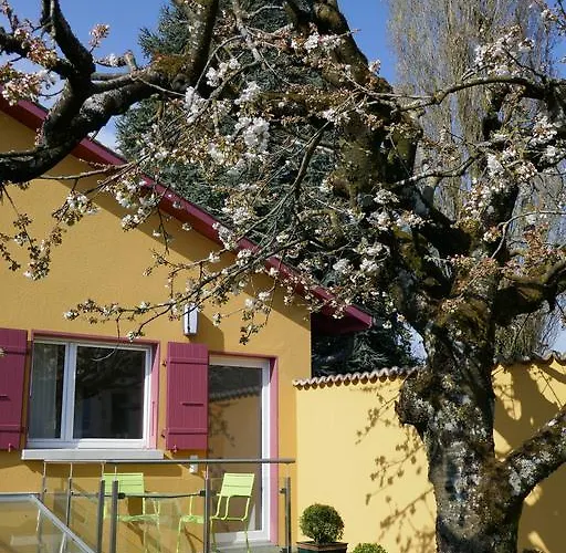 Swiss Borzoi House Frühstückspension 4*