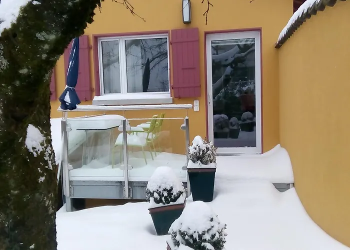 Swiss Borzoi House 4*