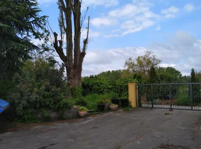 Swiss Borzoi House B&B